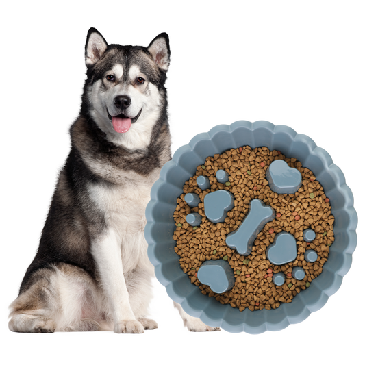 TinyWiz 𝐒𝐥𝐨𝐰 𝐅𝐞𝐞𝐝𝐞𝐫 𝐃𝐨𝐠 𝐁𝐨𝐰𝐥𝐬 𝐟𝐨𝐫 𝐋𝐚𝐫𝐠𝐞 𝐃𝐨𝐠𝐬, Anti-Choking Slow Feeding Dog Puzzle Bowl Interactive Healthy Dog Dishes to Slow Down Eating, Blue